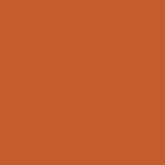 Rust Orange Swatch